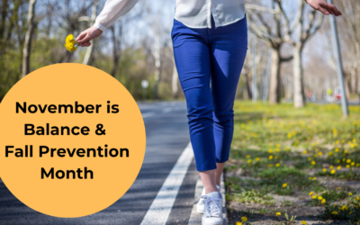 November is Balance & Fall Prevention Month